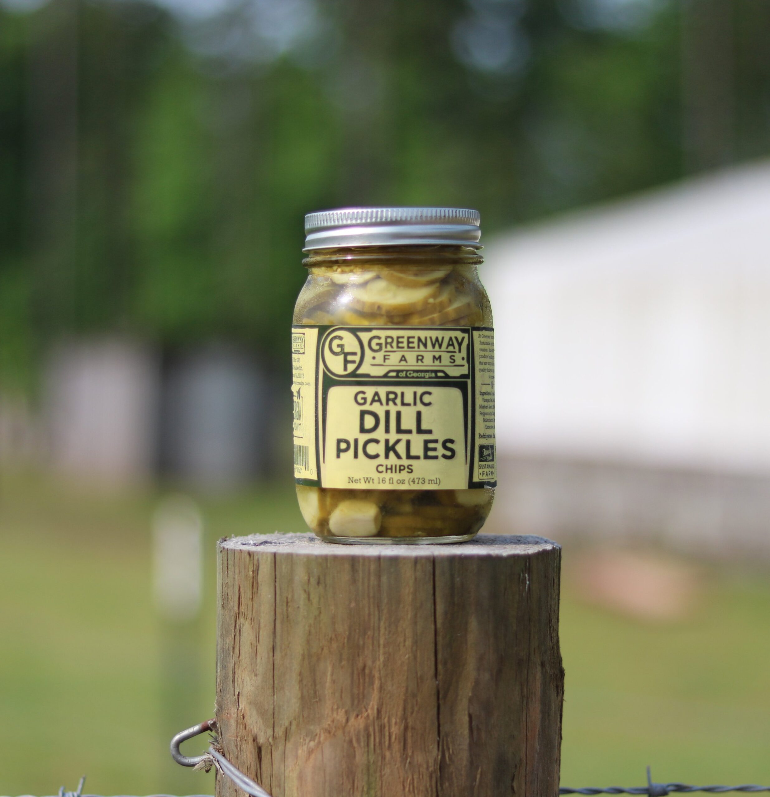 gdchipsbetter Jar of Greenway Farms Garlic Dill Pickles Chips on a wooden post, showcasing the product's label and ingredients, set against a blurred outdoor background.